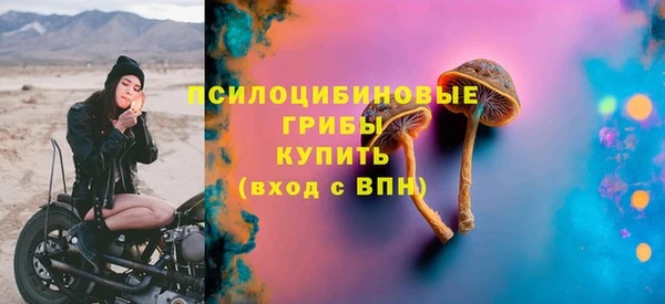 скорость Богородск