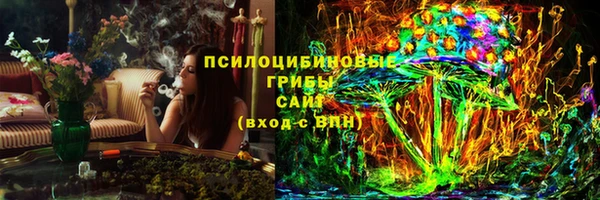 прущий лед Горно-Алтайск