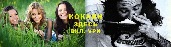 спиды Липки